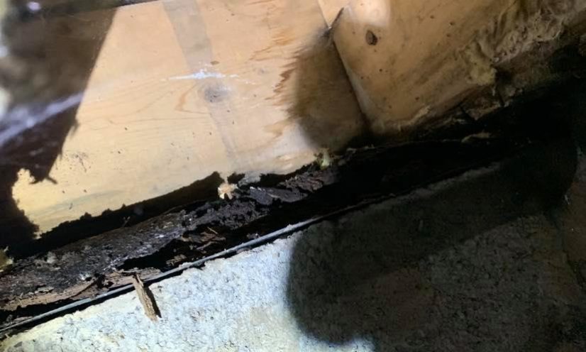 Sigma ingénieurs réalise des expertises de tous les problèmes de stabilité du bâtiment existants et propose une analyse des désordres et pathologies constatés